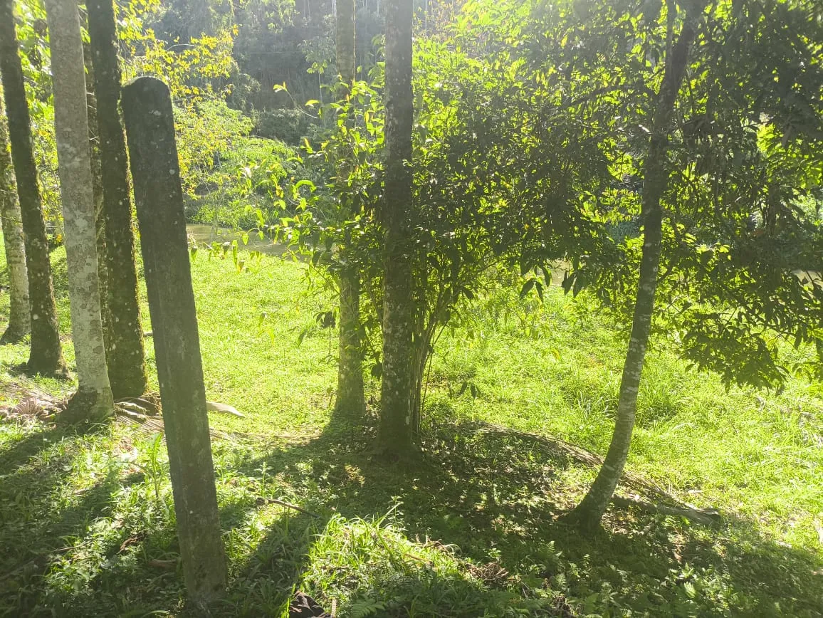 VENDO TERRENOS — foto 4