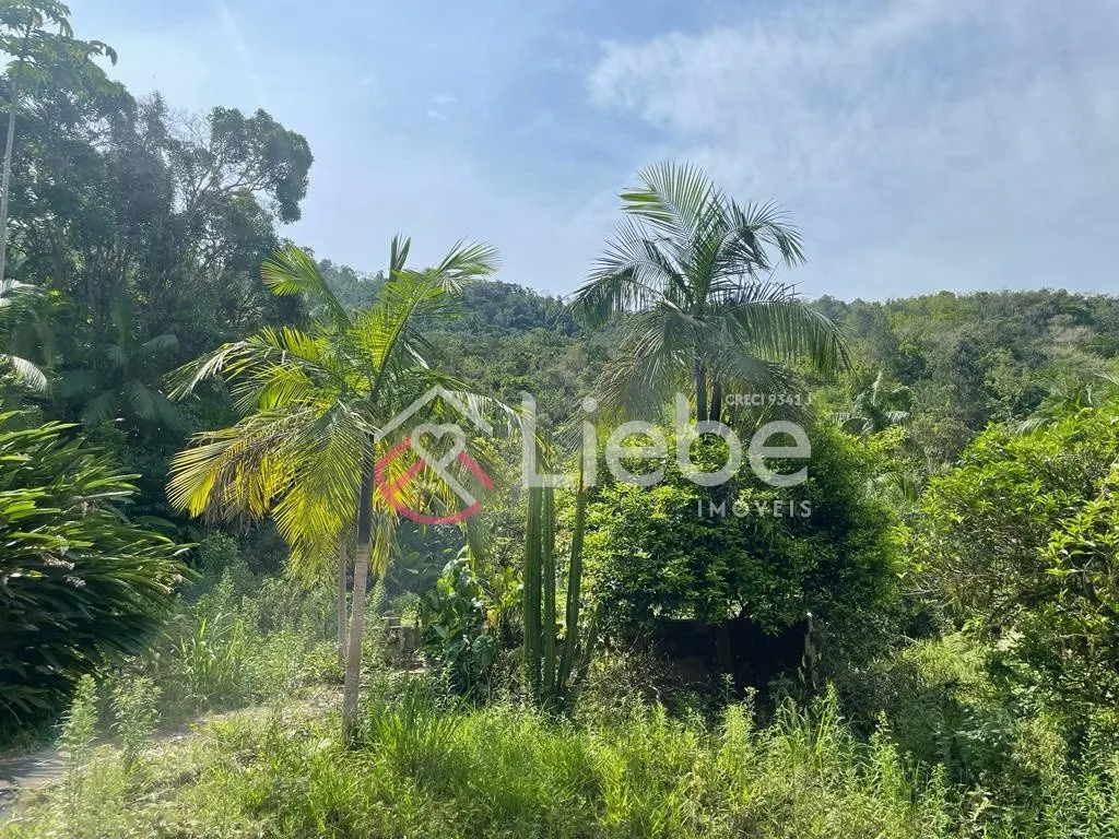 Excelente Terreno/Sítio localizado em Jaraguá do Sul no Bairro Rio Cerro II com 139.750,00m. — foto 4