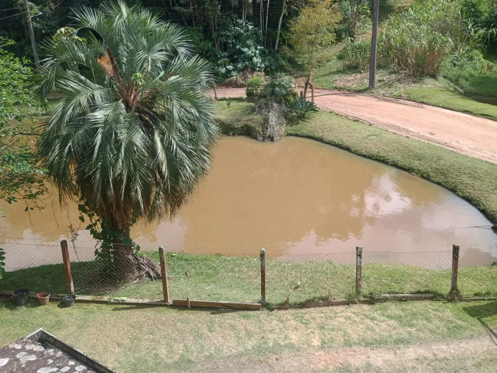 VENDE SÍTIO 11 HECTARES - BELCHIOR ALTO - GASPAR — foto 7