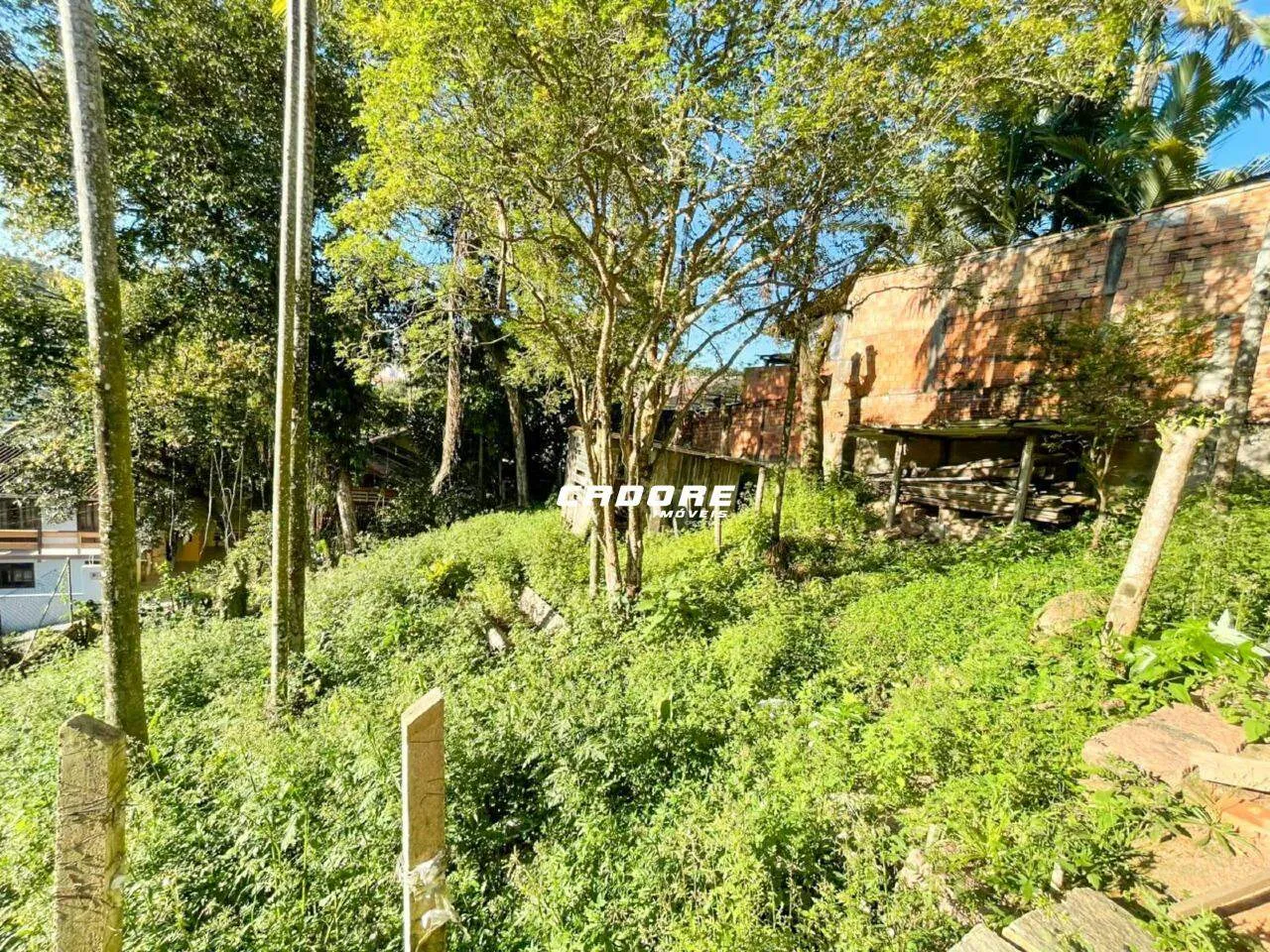 Venda - Excelente Terreno no bairro Garcia I Cadore Imóveis — foto 2
