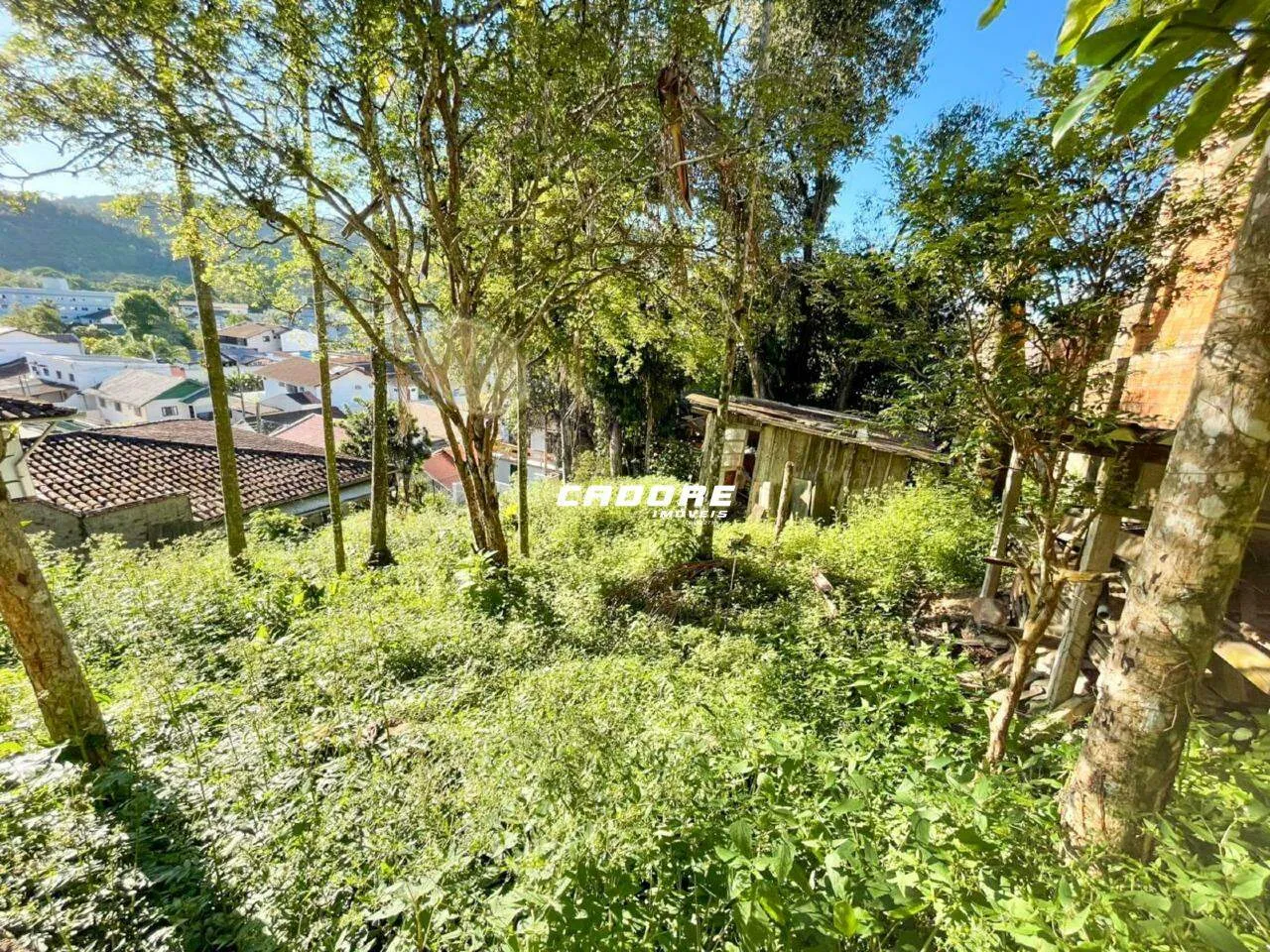 Venda - Excelente Terreno no bairro Garcia I Cadore Imóveis — foto 4