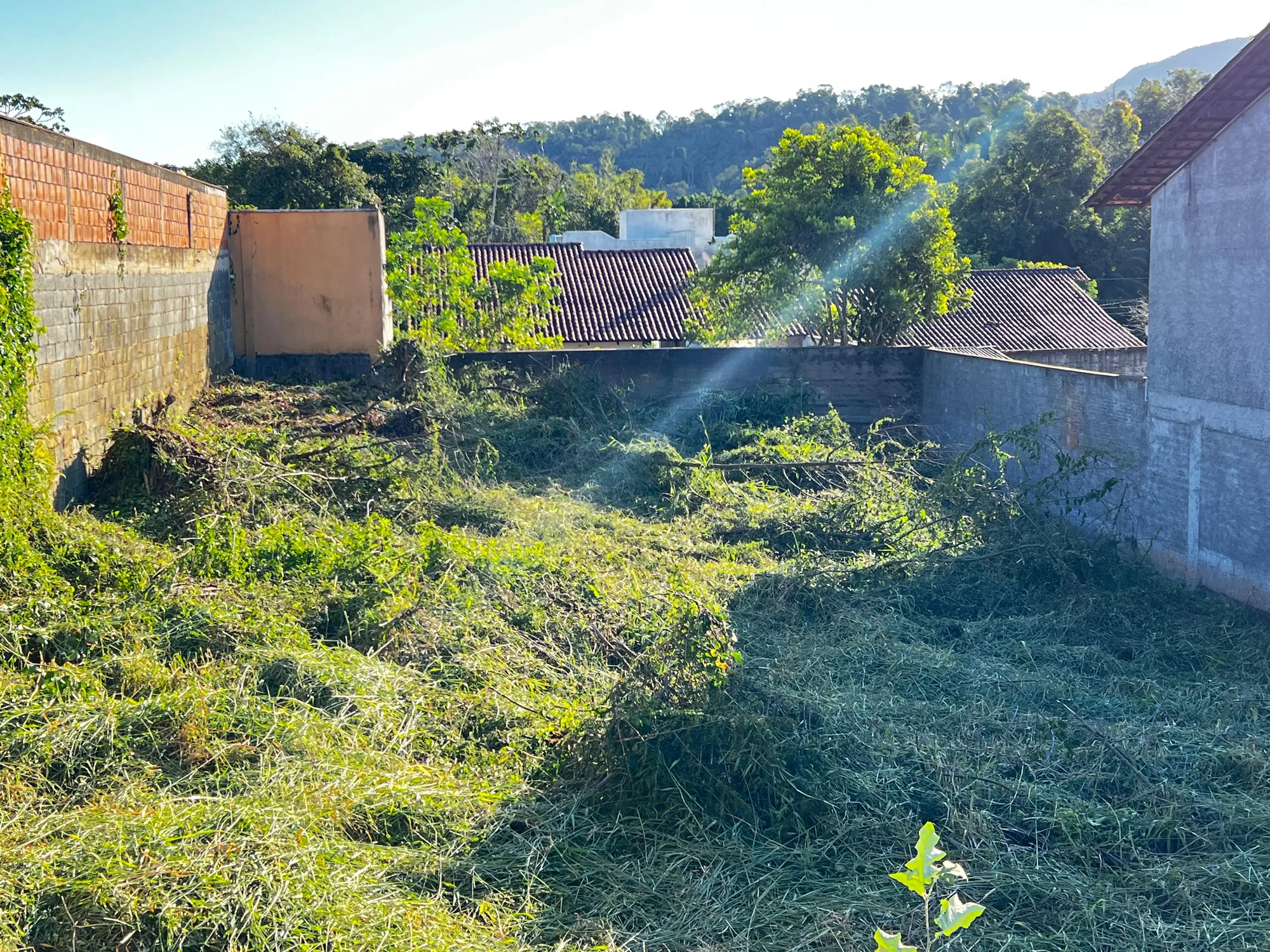 VENDO TERRENO — foto 4