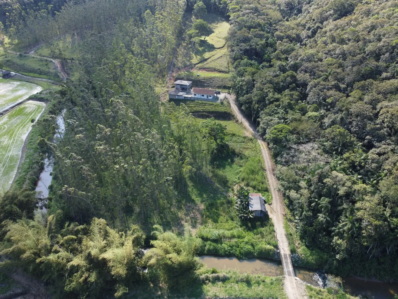 Sítio -121.000 m- Gaspar Grande - foto 1