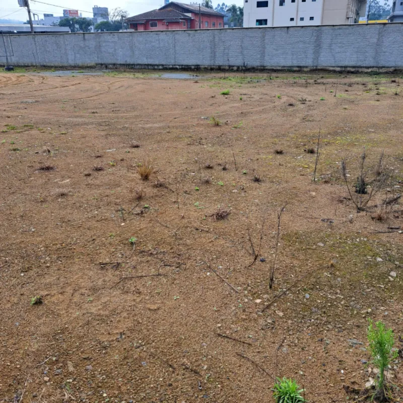 Terreno bem localizado no Bairro Itoupava Central pronto para construir já com saneamento , sistema de agua e parte da eletricidade pronta — foto 5