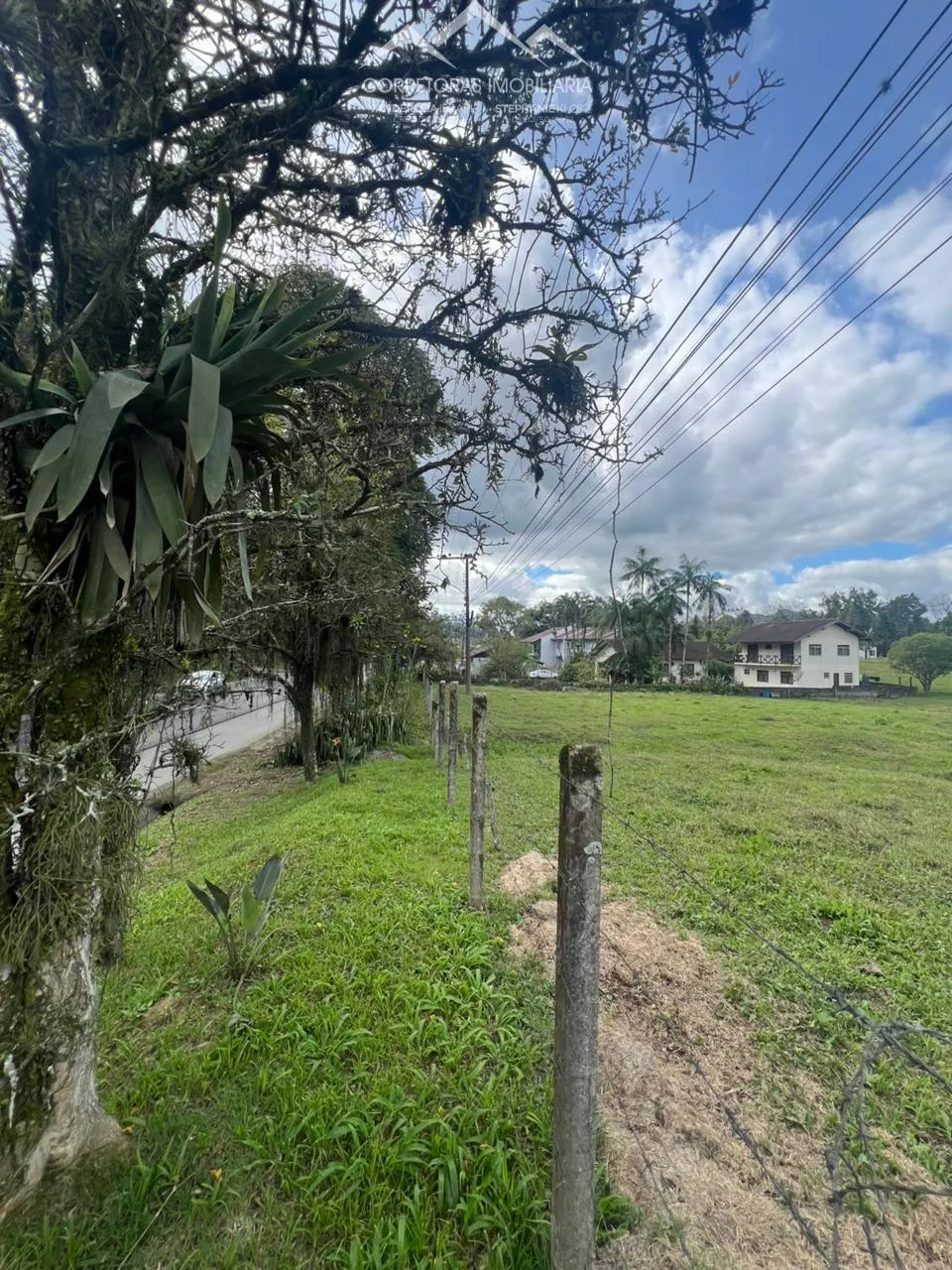 TERRENO - Testo Central, Pomerode SC — foto 2