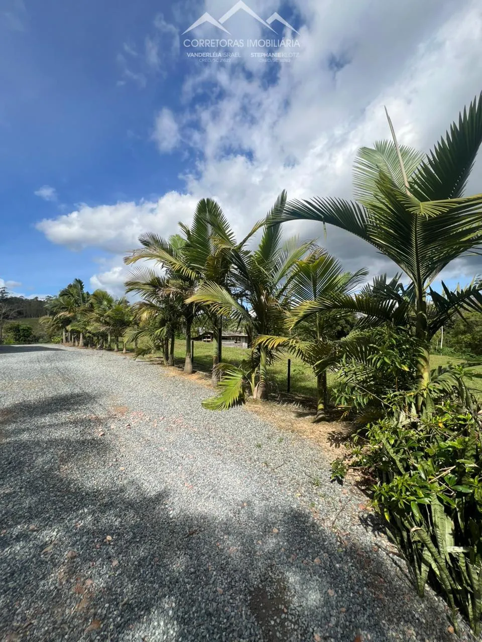 TERRENO - Testo Central, Pomerode SC — foto 4