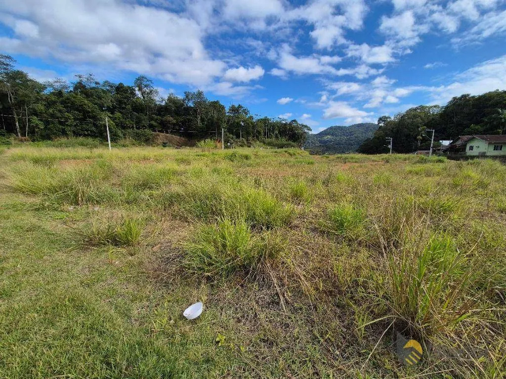 Terreno à venda, 260 m por R$ 140.000,00 - Itoupava Central - Blumenau/SC — foto 6