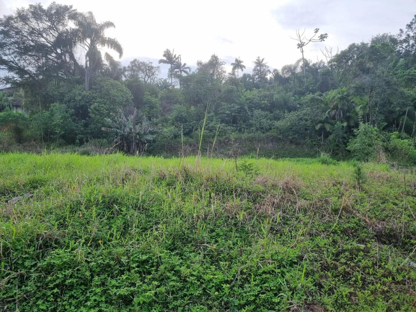 Terreno à venda no Bairro Estação - Ascurra/SC — foto 3