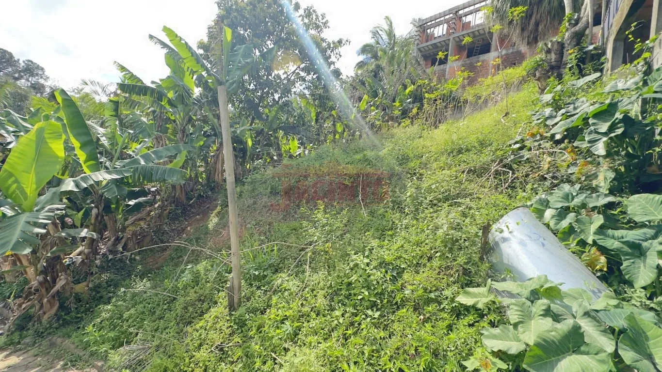 Terreno residencial, próximo à rua 25 de Agosto, bairro Itoupava Norte. — foto 6