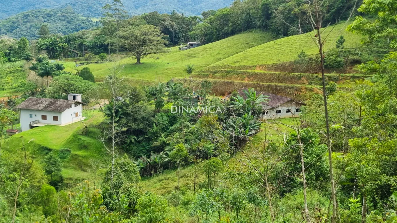 Excelente Sítio em Rio dos Cedros com amplo espaço , lagoa. pomar, horta, linda casa com 341 m2 — foto 5