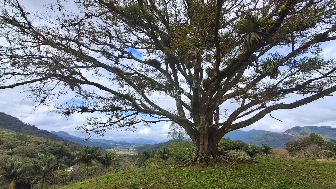 Excelente Sítio em Rio dos Cedros com amplo espaço , lagoa. pomar, horta, linda casa com 341 m2 — foto 7