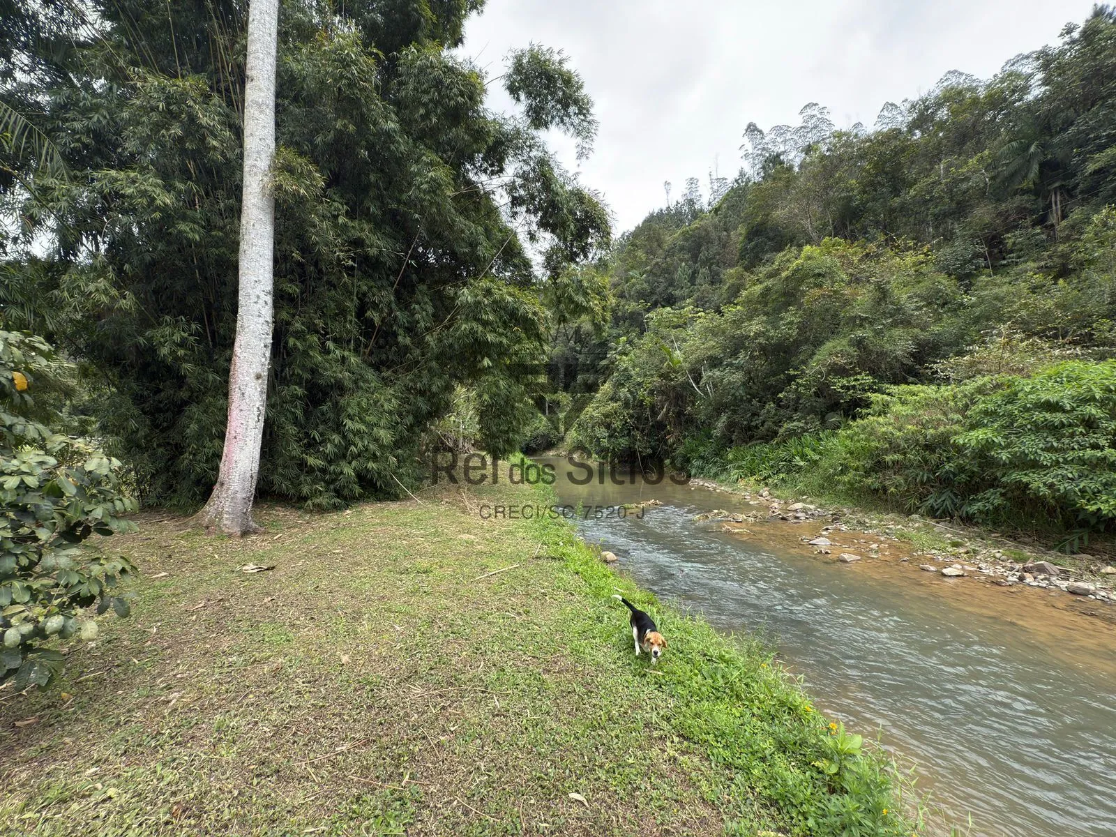Terreno Rural em Condomínio — foto 5