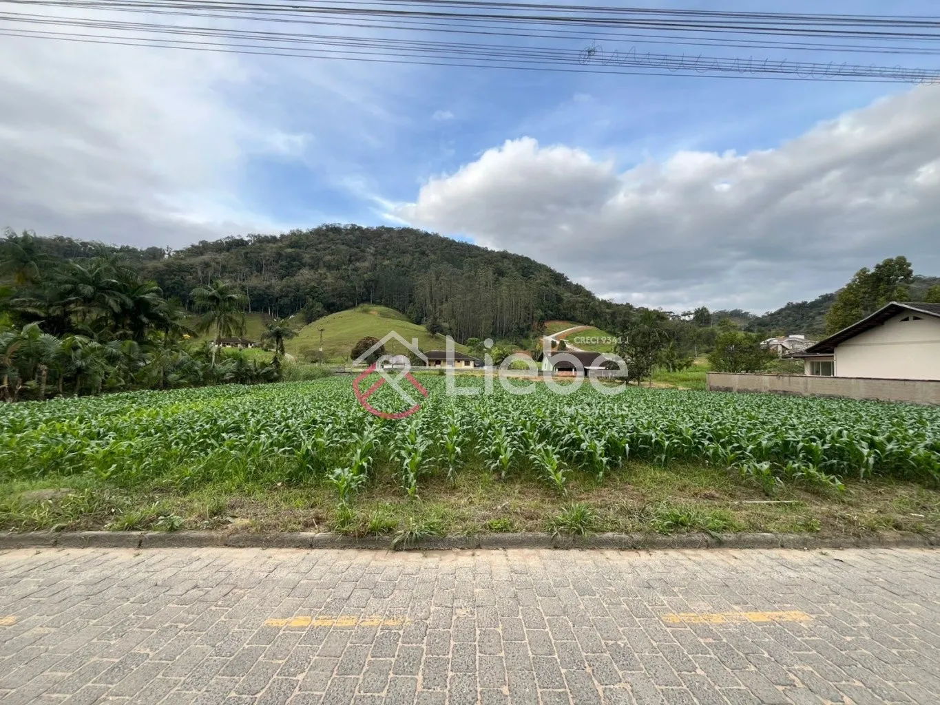 Excelente Terreno no Bairro Wunderwald na cidade de Pomerode com 1.900,00m fazendo frente em 40,00 metros. - foto 1