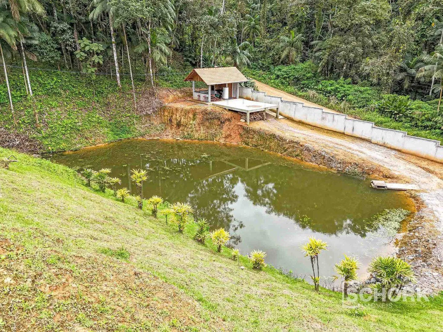 Sítio com 1 dormitório à venda, 7885 m por R$ 500.000,00 - Vila Itoupava - Blumenau/SC — foto 2