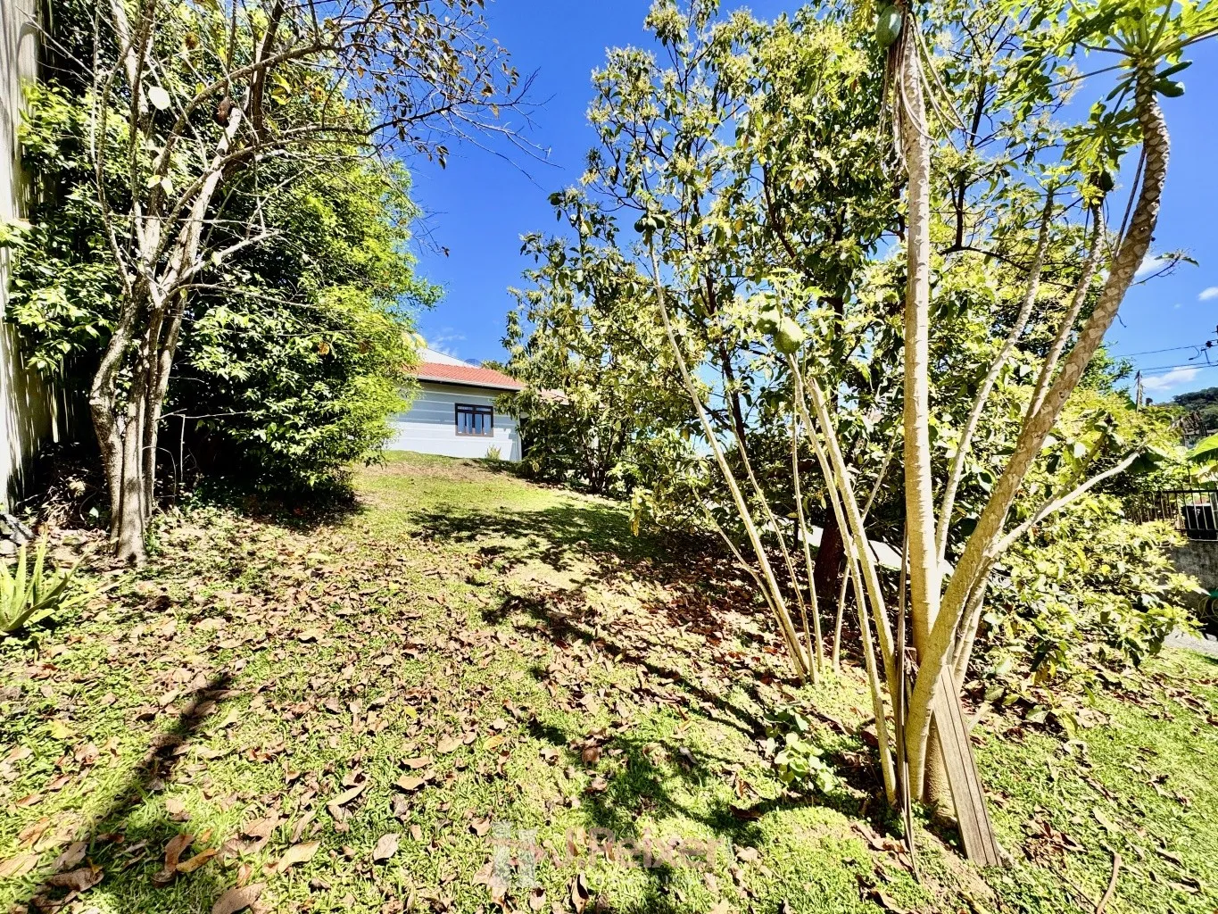 Casa 3 dormitórios, terreno com 429,43 m, transversal da Rua Frei Estanislau Schaette, no Bairro Água Verde - Blumenau-SC — foto 4