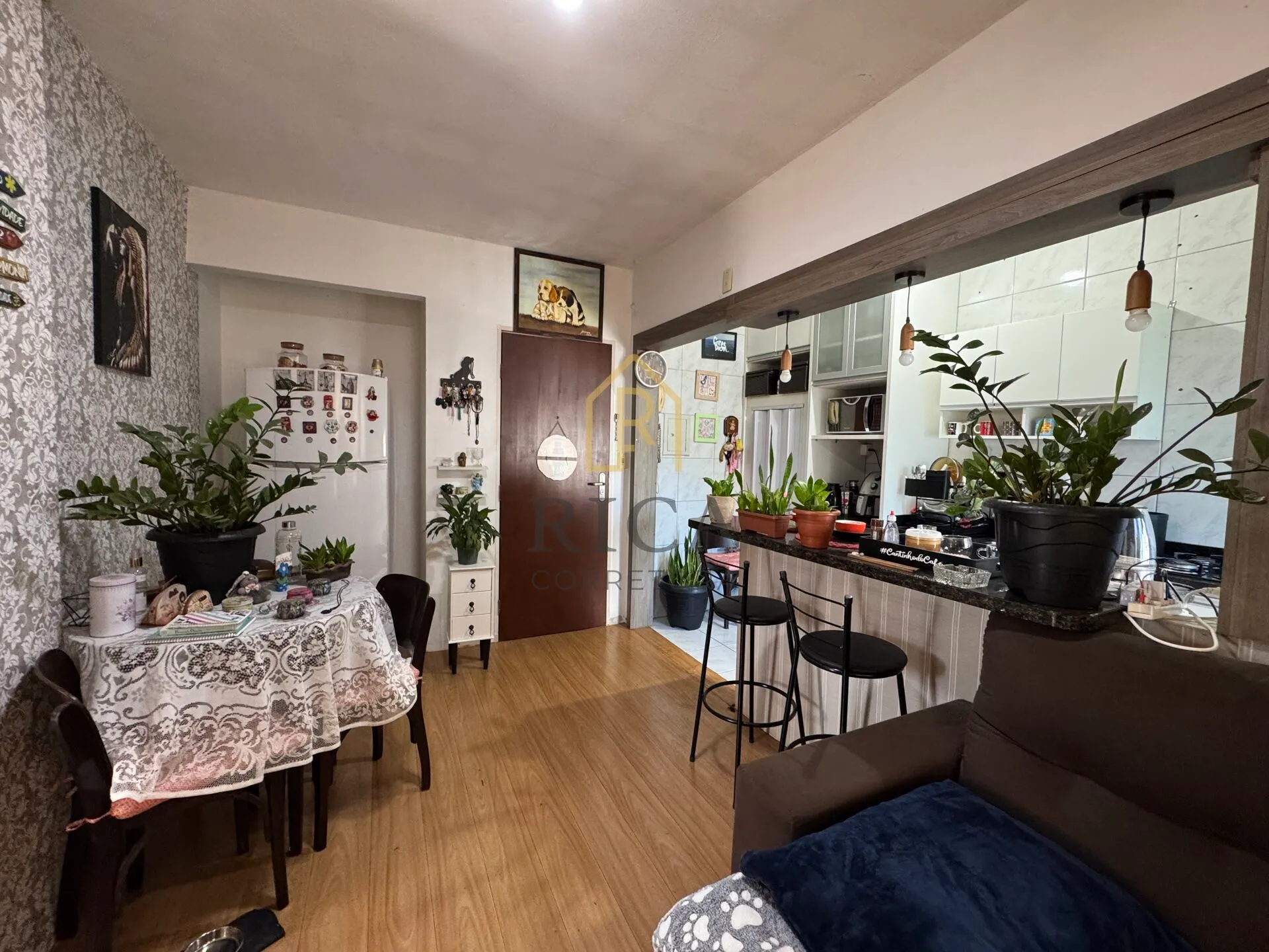 Apartamento em Blumenau.sc — foto 5