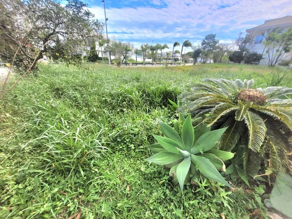 Terreno em Florianópolis — foto 3
