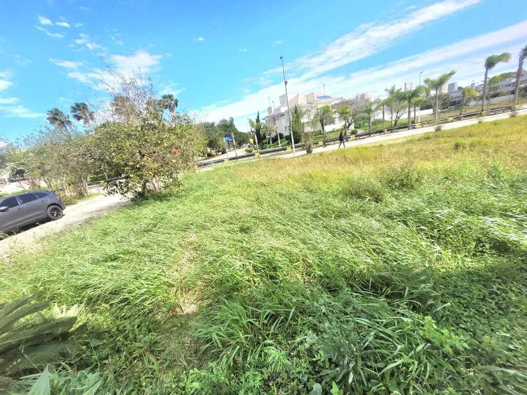 Terreno em Florianópolis — foto 5