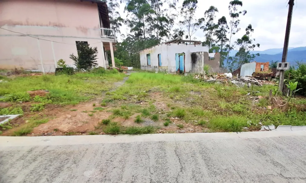 TERRENO COM 923m2 EM LOTEAMENTO - LUIZ ALVES - foto 1