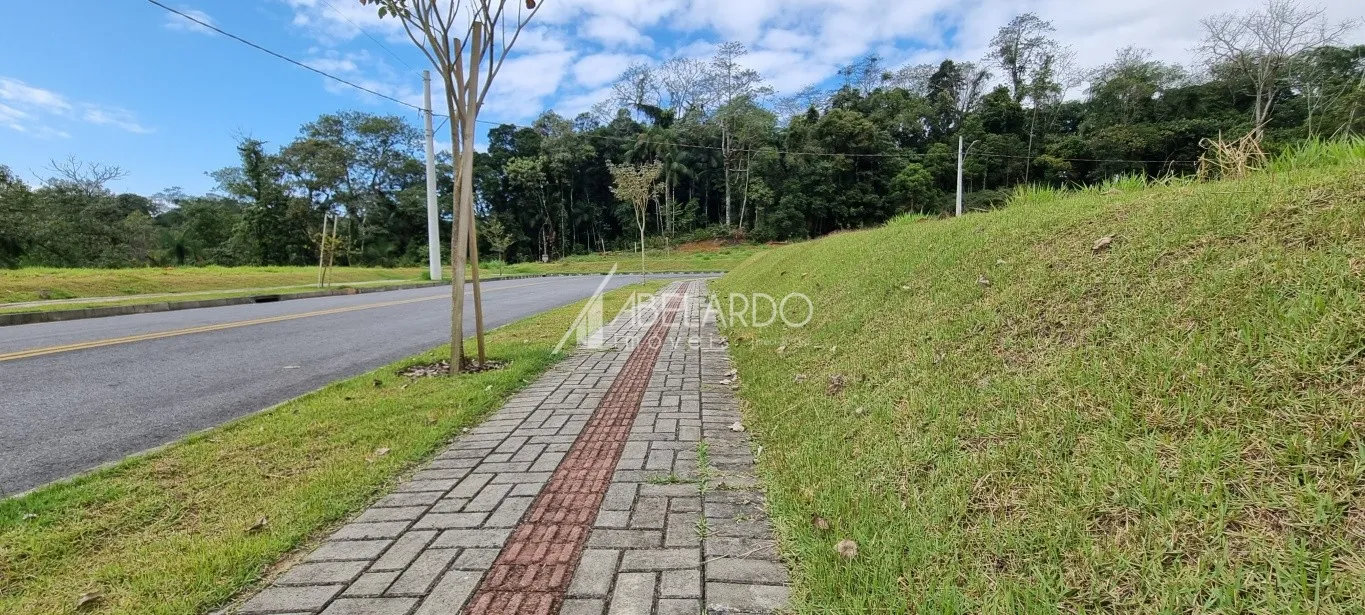 TERRENOS EM LOTEAMENTO, COM ÁREA ENTRE 253,50m E 295,58m - BAIRRO ITOUPAVA CENTRAL — foto 3
