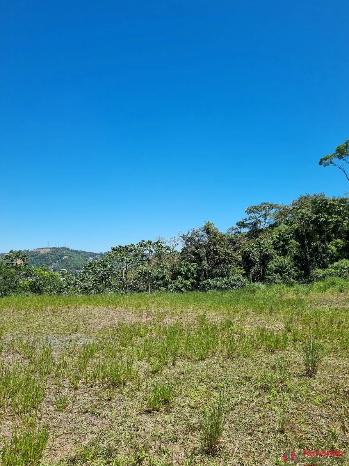 Privilége - Terreno à venda no bairro Ponta Aguda - Blumenau/SC — foto 4