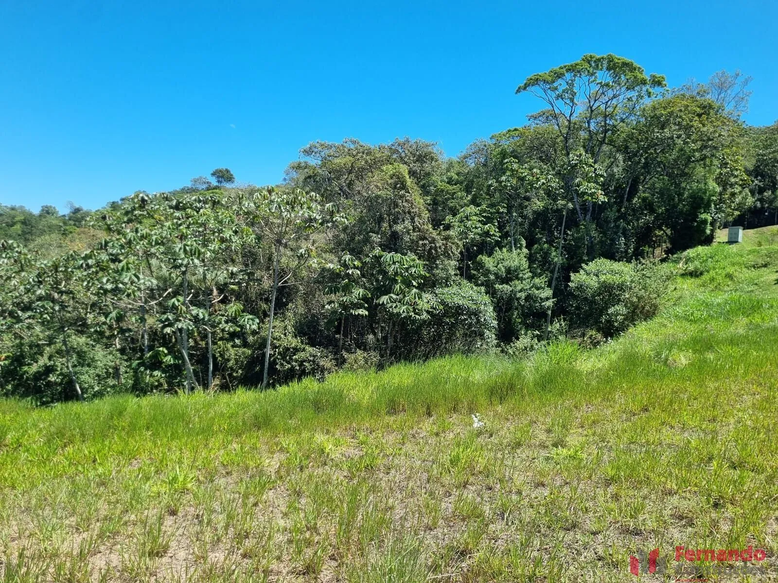 Privilége - Terreno à venda no bairro Ponta Aguda - Blumenau/SC — foto 6