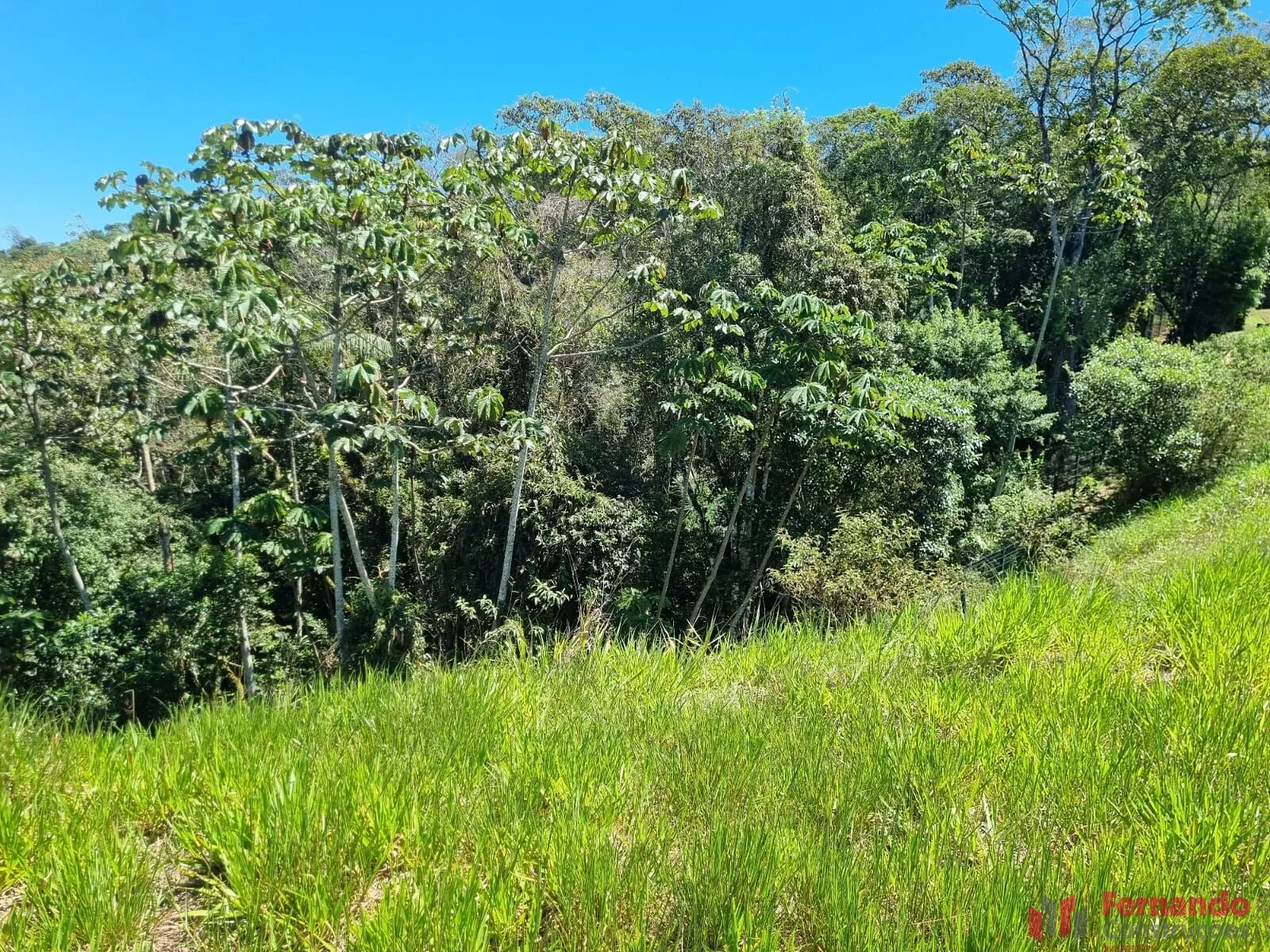 Privilége - Terreno à venda no bairro Ponta Aguda - Blumenau/SC — foto 3