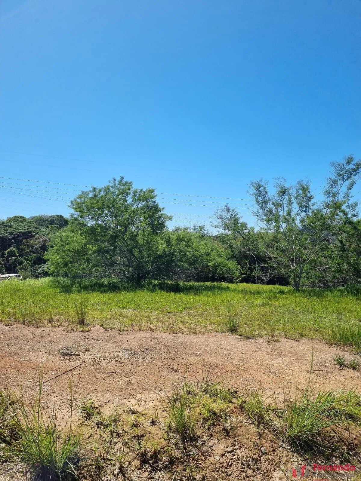 Privilége - Terreno à venda no bairro Ponta Aguda - Blumenau/SC — foto 2