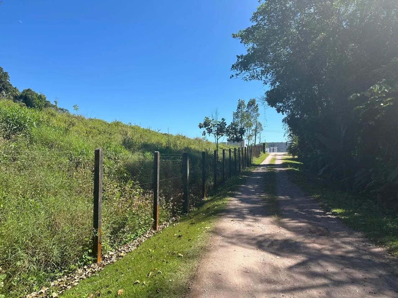 Terreno - 29.968,7m2 - Sete de Setembro — foto 4