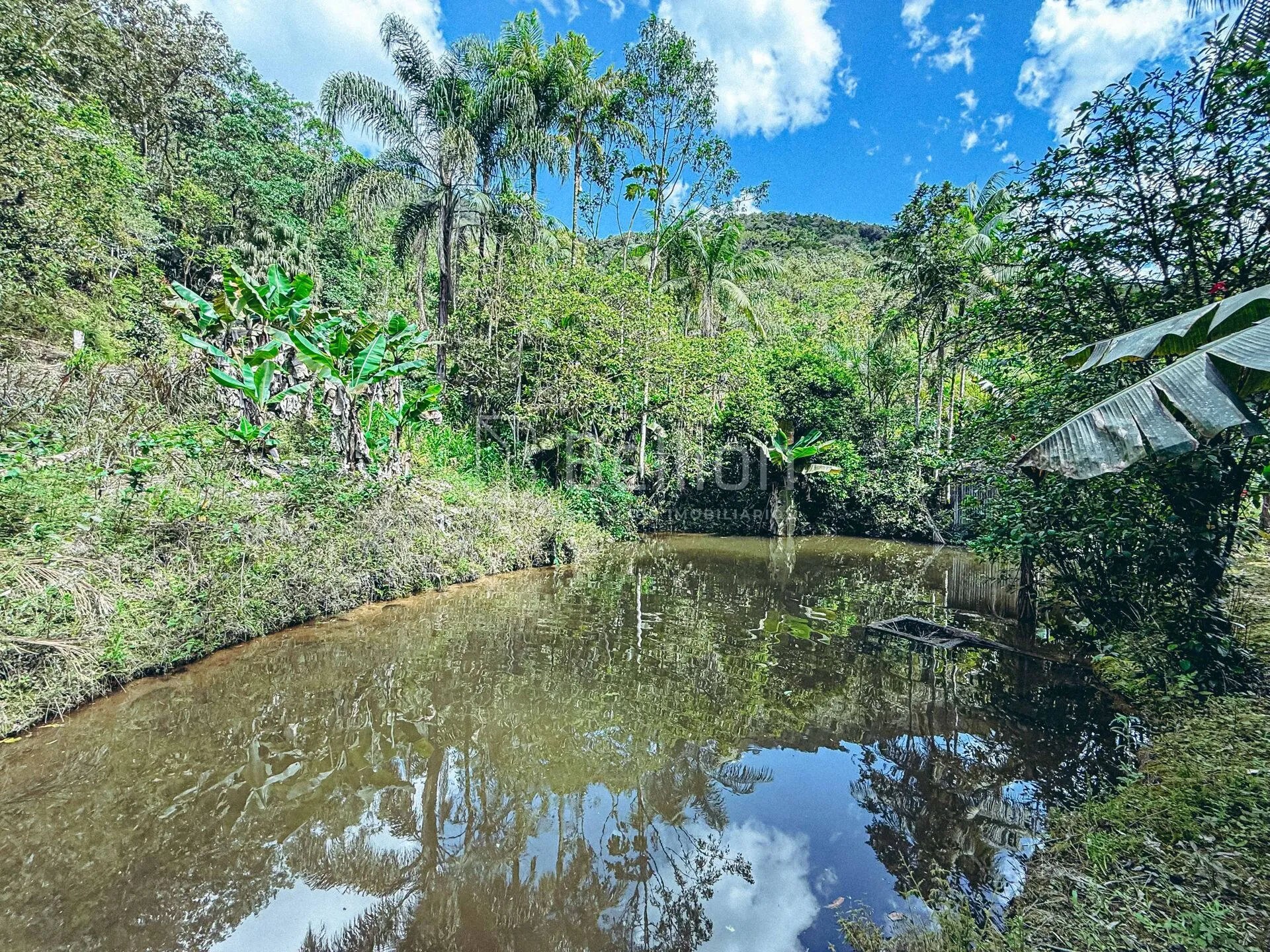 Sítio com casa em madeira de lei e riqueza em água em Rio dos Cedros — foto 4