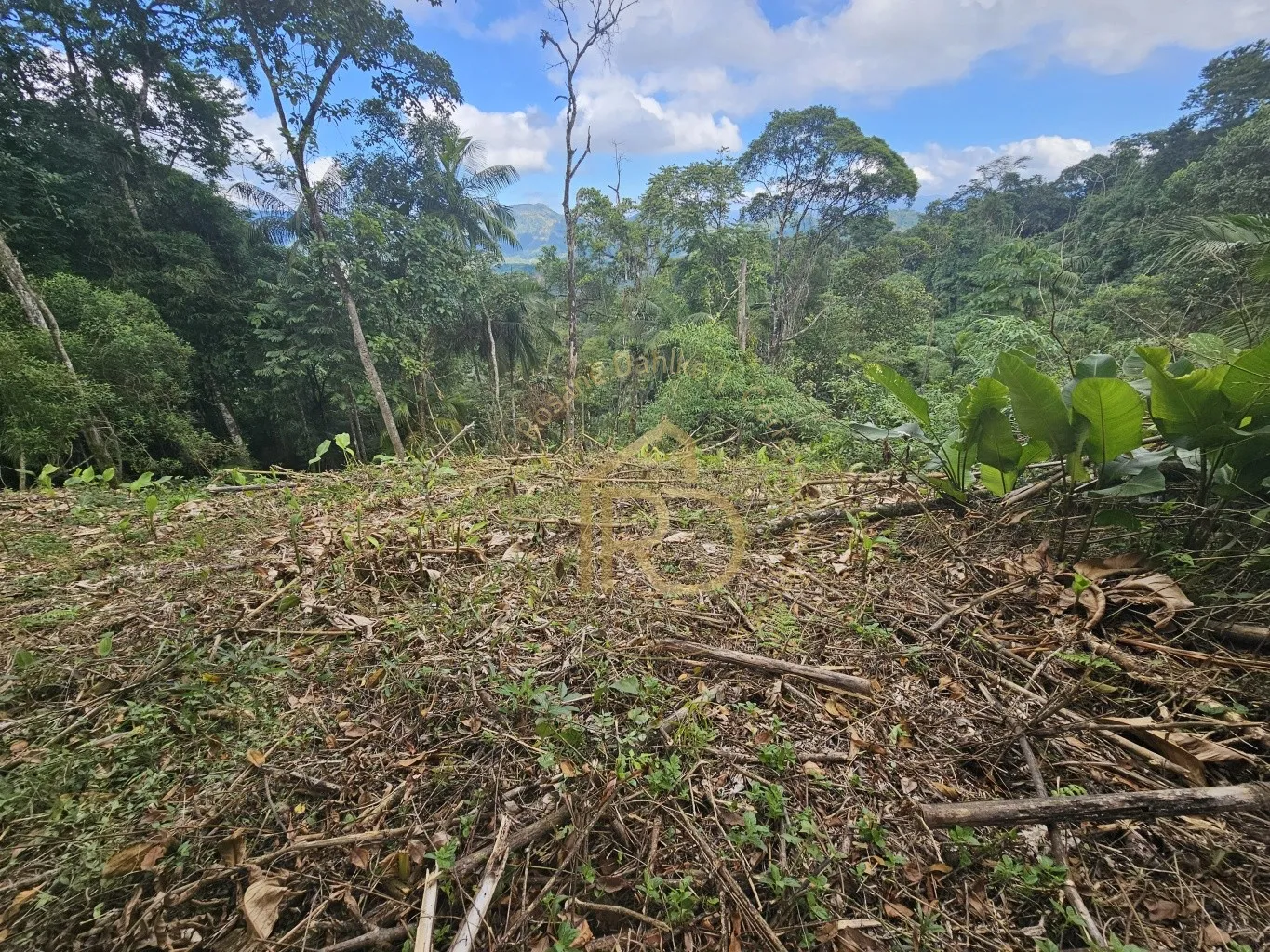 REFÚGIO-POMERODE FUNDOS — foto 3