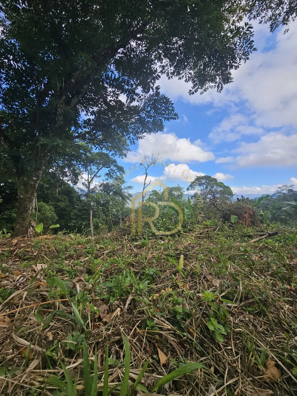 REFÚGIO-POMERODE FUNDOS — foto 5