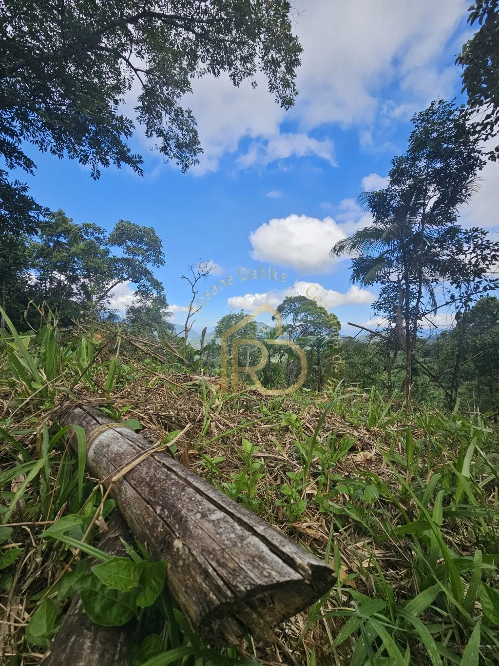 REFÚGIO-POMERODE FUNDOS — foto 7