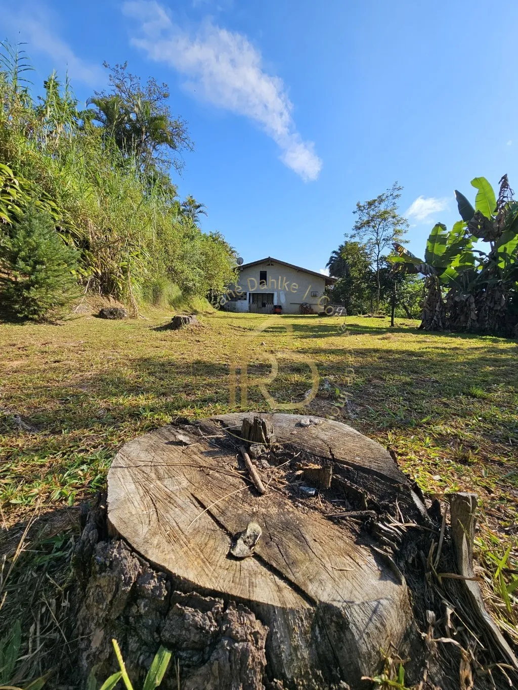 TERRENO DE ESQUINA-CENTRO — foto 4