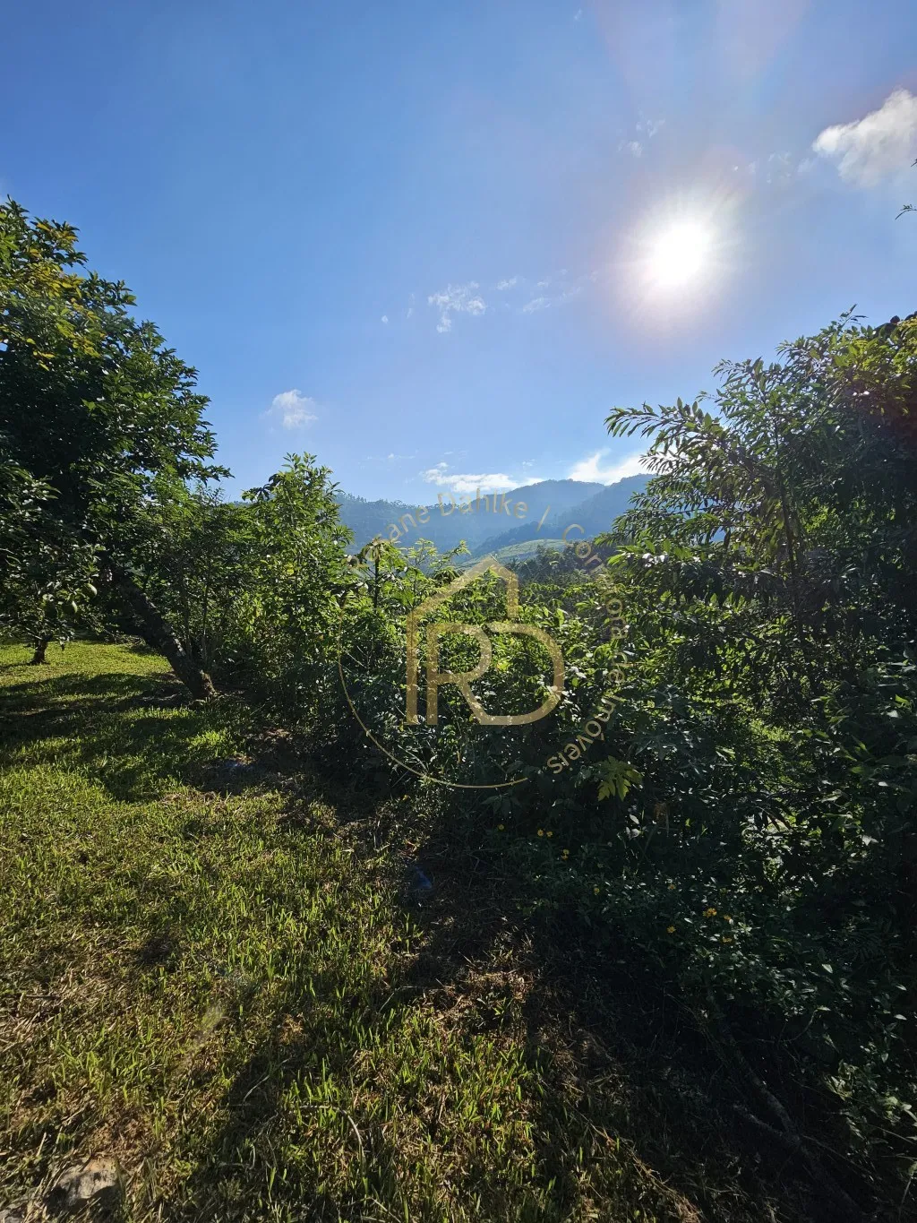 TERRENO DE ESQUINA-CENTRO — foto 5