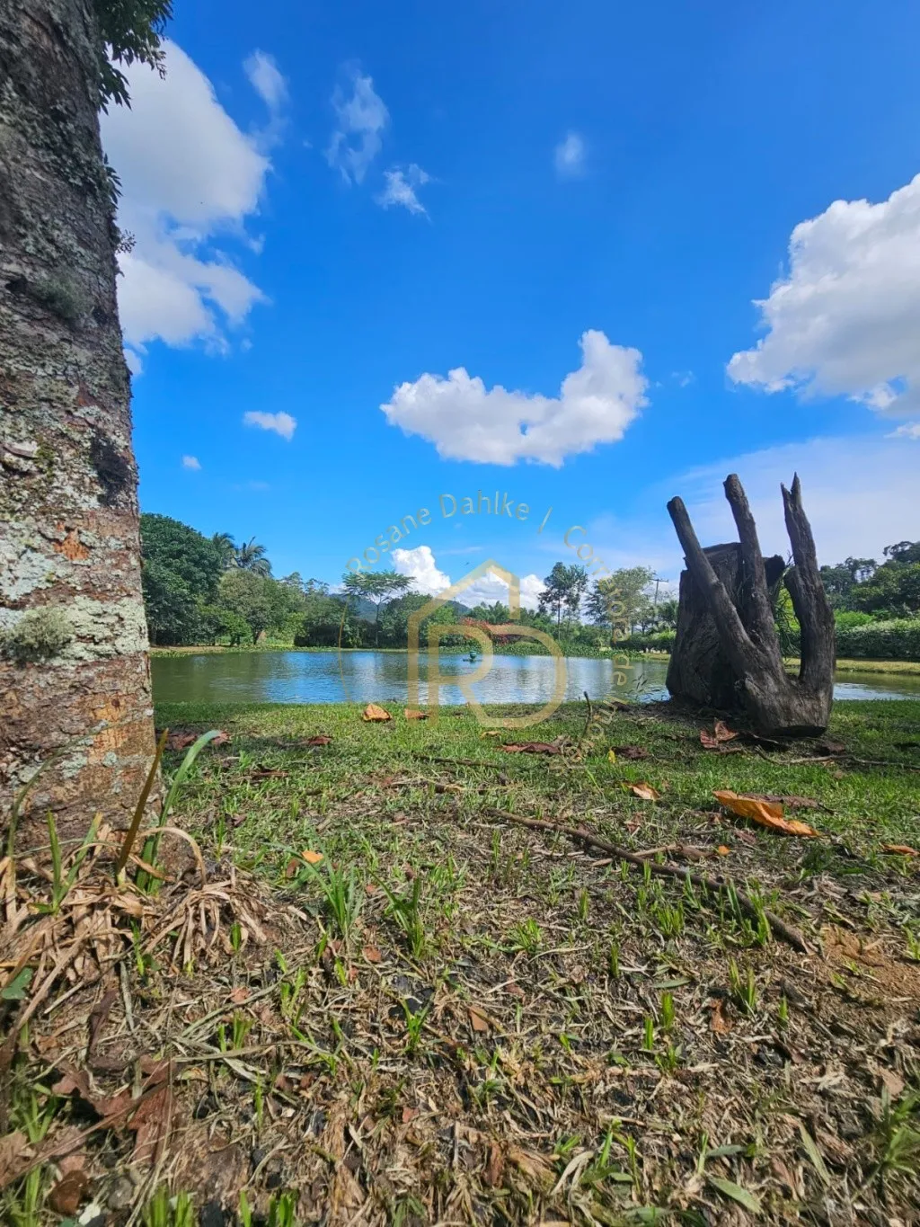 REFÚGIO EM MEIO A NATUREZA — foto 2