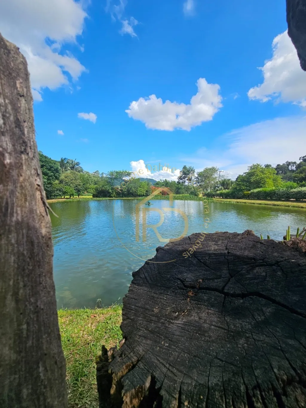 REFÚGIO EM MEIO A NATUREZA — foto 3