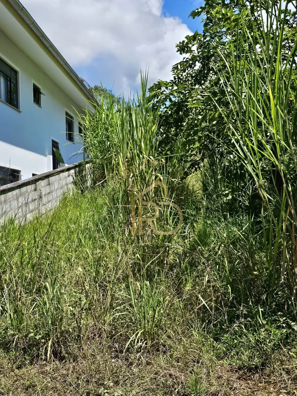 TERRENO NO CENTRO — foto 6