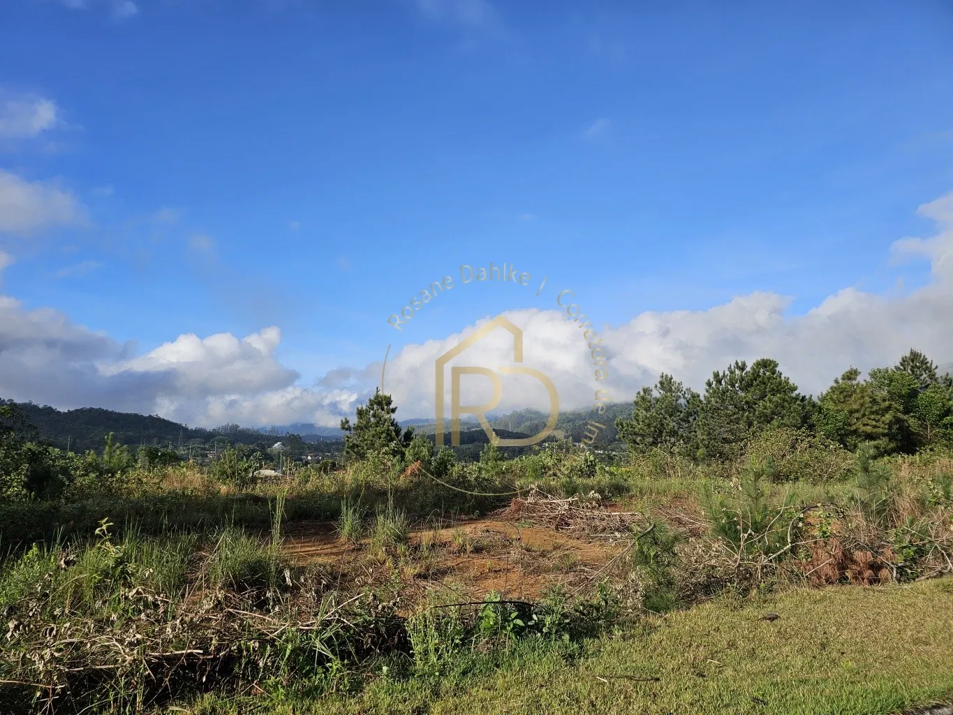 TERRENO TESTO CENTRAL — foto 2