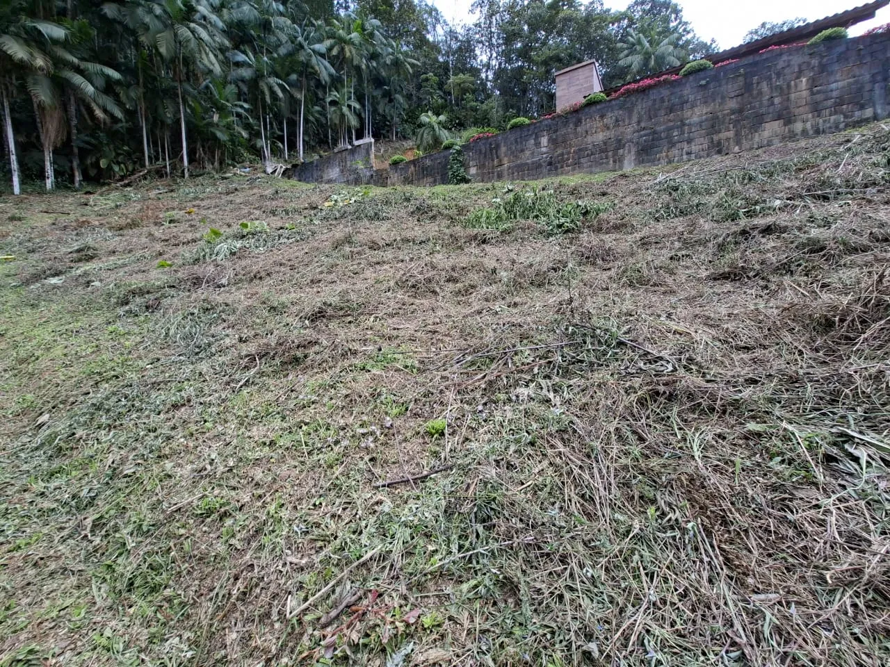 VENDO TERRENO - foto 1