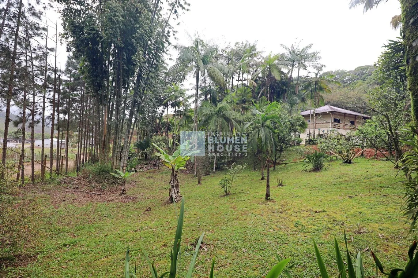 Sítio no Alto Baú, Ilhota! — foto 7