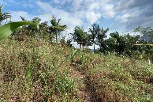 Terreno no Centro de Pomerode — foto 3