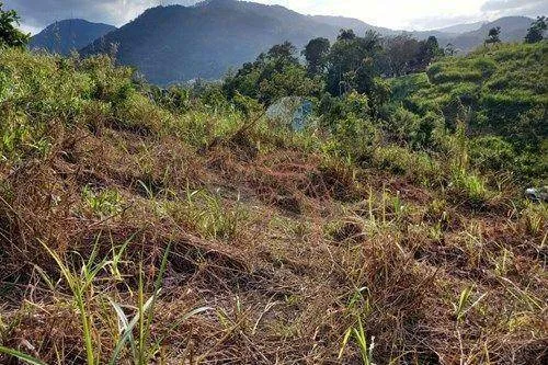 Terreno no Centro de Pomerode — foto 6