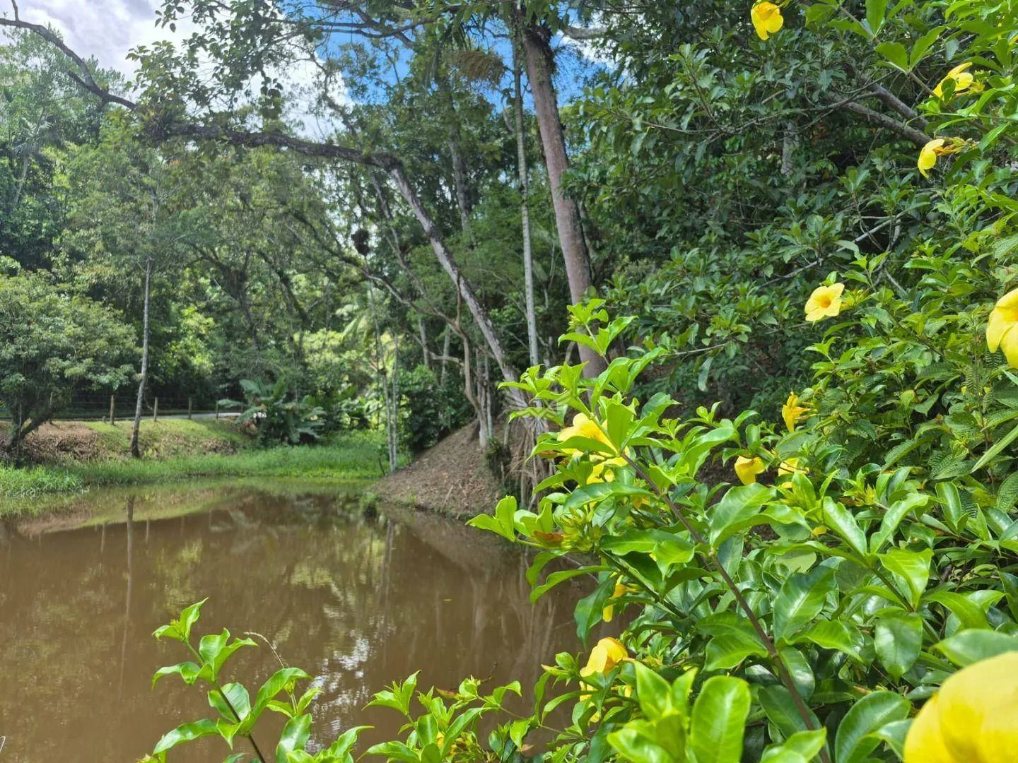 Chácara com casa mobiliada em Gaspar - Espaço, Segurança e Sofisticação em Um Só Lugar! — foto 2