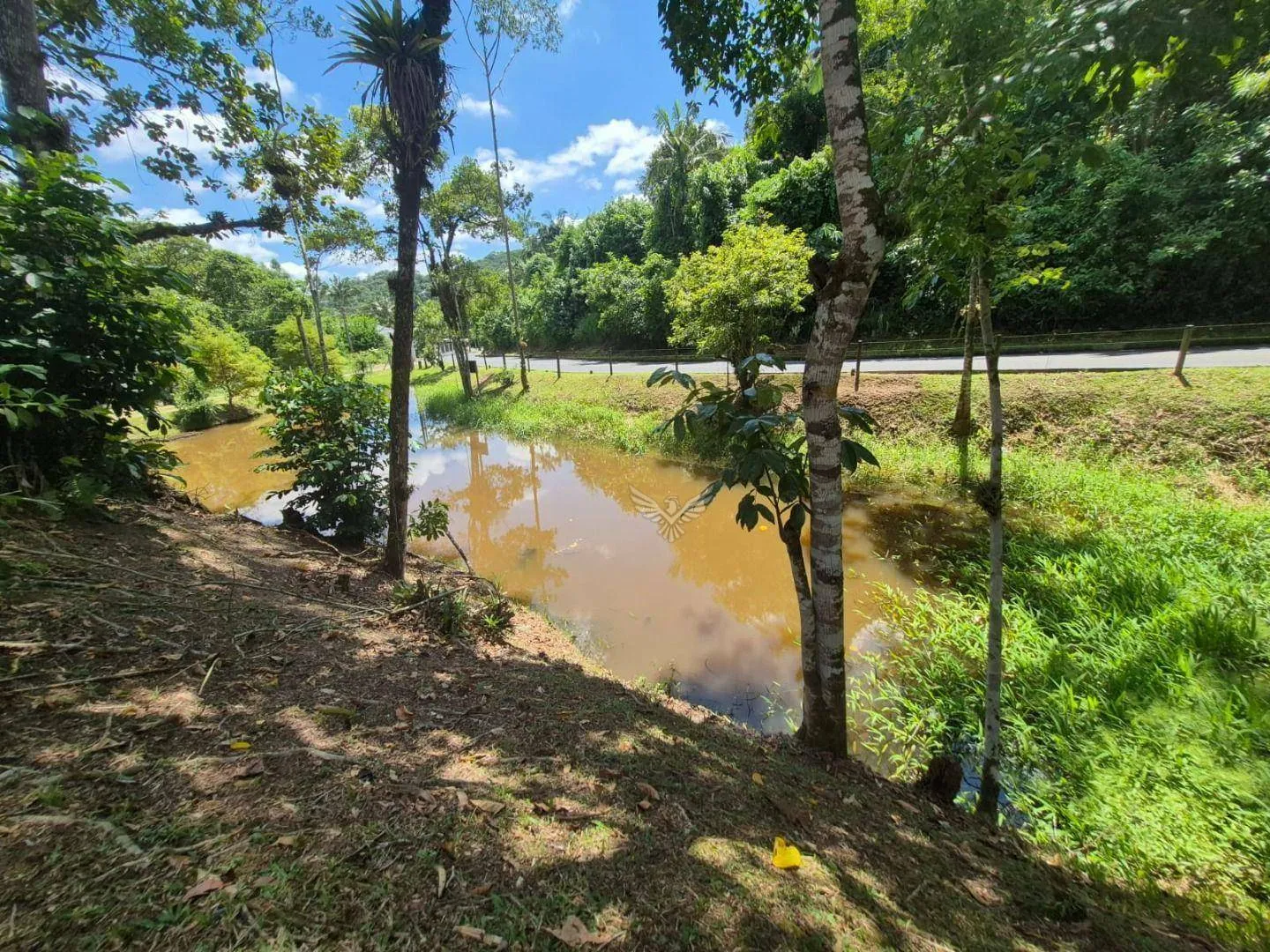 Chácara com casa mobiliada em Gaspar - Espaço, Segurança e Sofisticação em Um Só Lugar! — foto 3