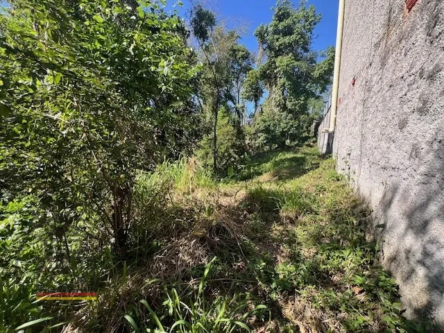 Amplo terreno junto ao bairro Escola Agrícola. — foto 3