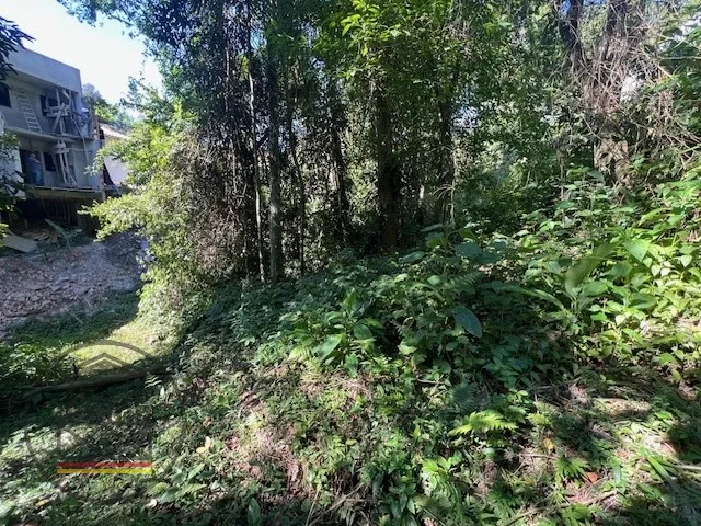 Amplo terreno junto ao bairro Escola Agrícola. — foto 4