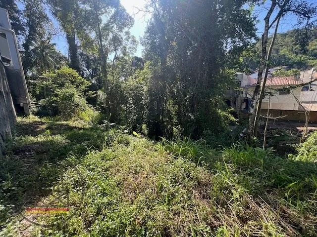 Amplo terreno junto ao bairro Escola Agrícola. — foto 5
