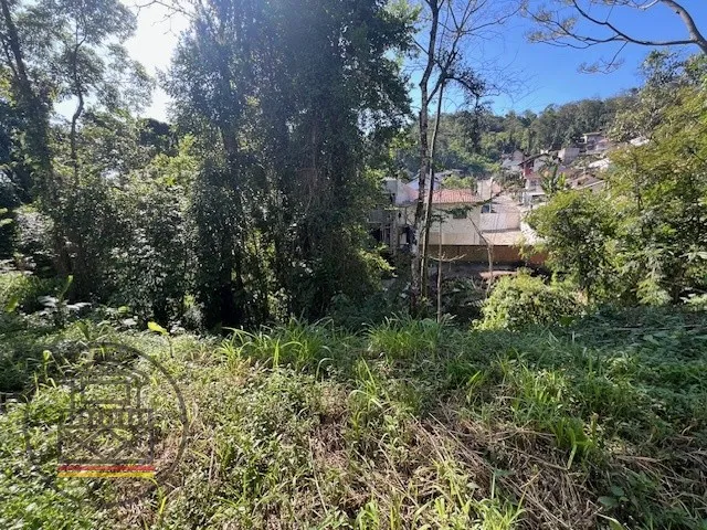 Amplo terreno junto ao bairro Escola Agrícola. — foto 6