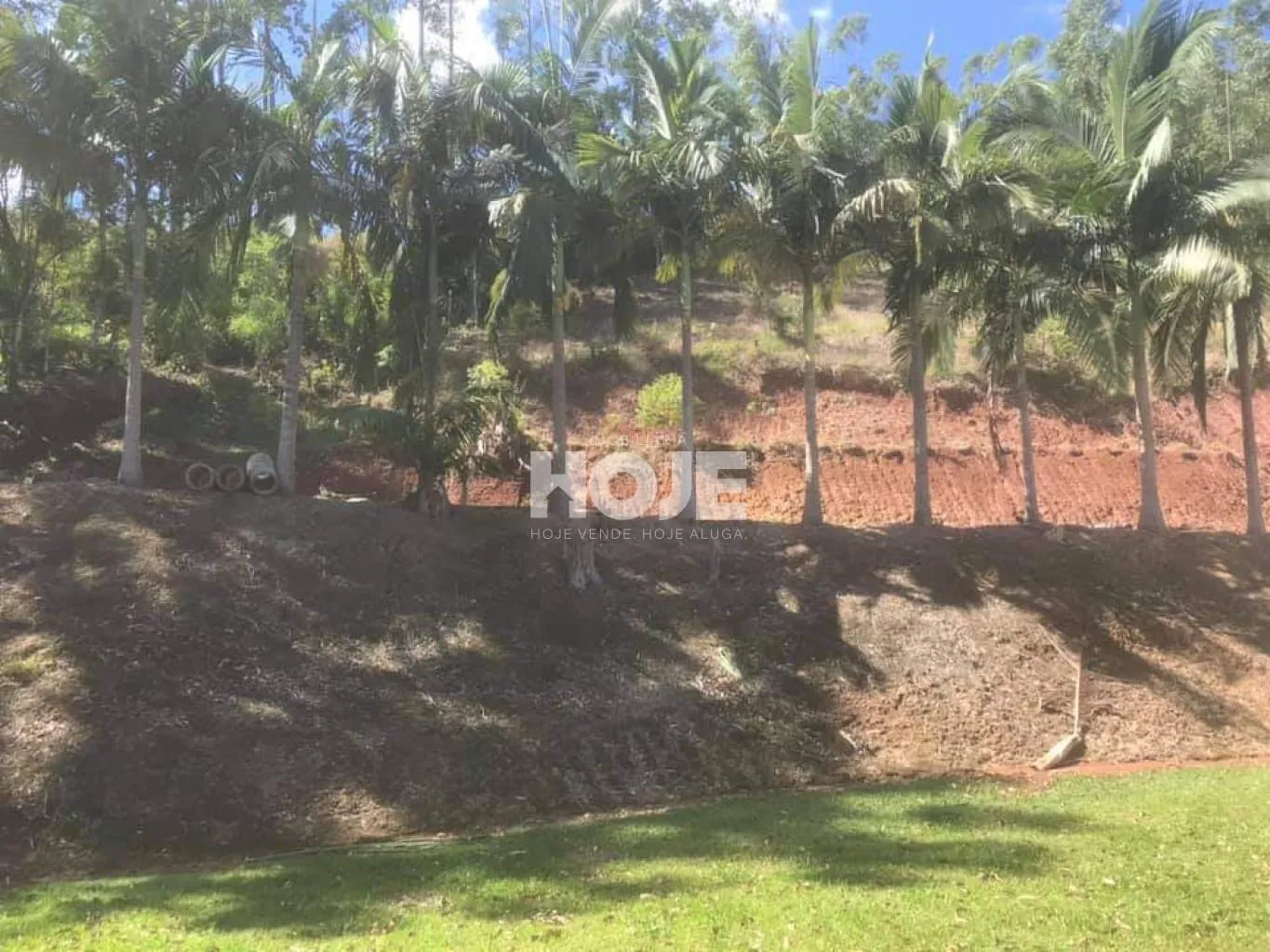 Sítio a venda na cidade de Apiúna - SC. — foto 6